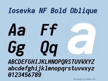 Iosevka Term Bold Oblique Nerd Font Complete Mono Windows Compatible 1.14.0; ttfautohint (v1.7.9-c794)图片样张