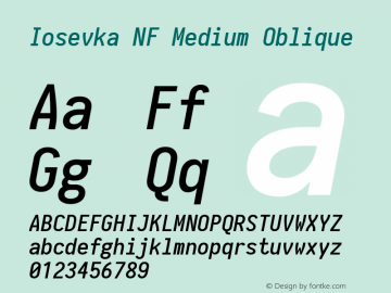 Iosevka Term Medium Oblique Nerd Font Complete Mono Windows Compatible 1.14.0; ttfautohint (v1.7.9-c794) Font Sample