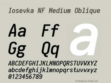 Iosevka Term Medium Oblique Nerd Font Complete Windows Compatible 1.14.0; ttfautohint (v1.7.9-c794)图片样张