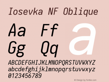 Iosevka Term Oblique Nerd Font Complete Mono Windows Compatible 1.14.0; ttfautohint (v1.7.9-c794) Font Sample
