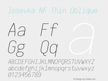 Iosevka Term Thin Oblique Nerd Font Complete Windows Compatible 1.14.0; ttfautohint (v1.7.9-c794)图片样张