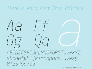 Iosevka Term Thin Oblique Nerd Font Complete 1.14.0; ttfautohint (v1.7.9-c794) Font Sample