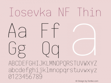 Iosevka Thin Nerd Font Complete Windows Compatible 1.14.0; ttfautohint (v1.7.9-c794) Font Sample