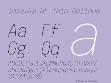 Iosevka Thin Oblique Nerd Font Complete Mono Windows Compatible 1.14.0; ttfautohint (v1.7.9-c794)图片样张