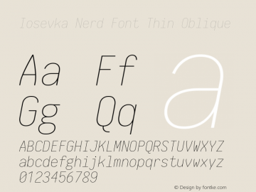Iosevka Thin Oblique Nerd Font Complete 1.14.0; ttfautohint (v1.7.9-c794) Font Sample