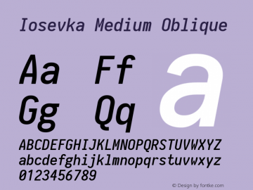 Iosevka Medium Oblique 1.14.0; ttfautohint (v1.7.9-c794)图片样张