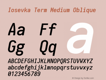 Iosevka Term Medium Oblique 1.14.0; ttfautohint (v1.7.9-c794) Font Sample