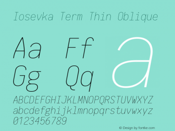 Iosevka Term Thin Oblique 1.14.0; ttfautohint (v1.7.9-c794)图片样张