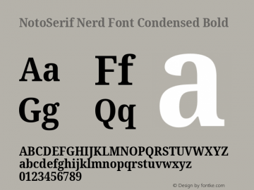 Noto Serif Condensed Bold Nerd Font Complete Version 2.000;GOOG;noto-source:20170915:90ef993387c0; ttfautohint (v1.7) Font Sample