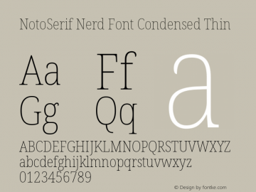 Noto Serif Condensed Thin Nerd Font Complete Version 2.000;GOOG;noto-source:20170915:90ef993387c0; ttfautohint (v1.7)图片样张