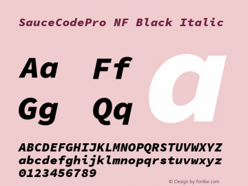 Sauce Code Pro Black Italic Nerd Font Complete Windows Compatible Version 1.050;PS 1.000;hotconv 16.6.51;makeotf.lib2.5.65220 Font Sample