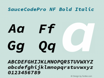 Sauce Code Pro Bold Italic Nerd Font Complete Mono Windows Compatible Version 1.050;PS 1.000;hotconv 16.6.51;makeotf.lib2.5.65220 Font Sample