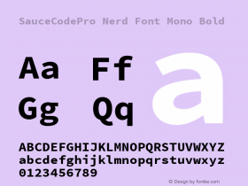 Sauce Code Pro Bold Nerd Font Complete Mono Version 2.010;PS 1.000;hotconv 1.0.84;makeotf.lib2.5.63406图片样张