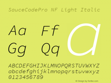 Sauce Code Pro Light Italic Nerd Font Complete Mono Windows Compatible Version 1.050;PS 1.000;hotconv 16.6.51;makeotf.lib2.5.65220图片样张