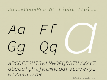 Sauce Code Pro Light Italic Nerd Font Complete Windows Compatible Version 1.050;PS 1.000;hotconv 16.6.51;makeotf.lib2.5.65220 Font Sample