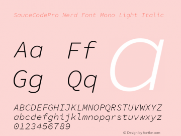 Sauce Code Pro Light Italic Nerd Font Complete Mono Version 1.050;PS 1.000;hotconv 16.6.51;makeotf.lib2.5.65220 Font Sample