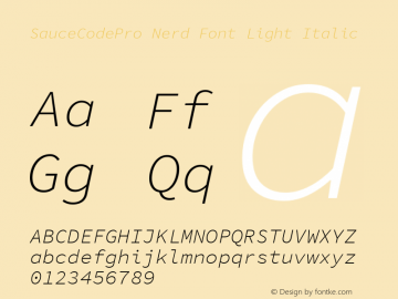 Sauce Code Pro Light Italic Nerd Font Complete Version 1.050;PS 1.000;hotconv 16.6.51;makeotf.lib2.5.65220图片样张
