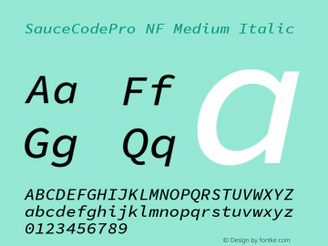 Sauce Code Pro Medium Italic Nerd Font Complete Mono Windows Compatible Version 1.050;PS 1.000;hotconv 16.6.51;makeotf.lib2.5.65220图片样张