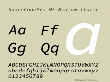 Sauce Code Pro Medium Italic Nerd Font Complete Windows Compatible Version 1.050;PS 1.000;hotconv 16.6.51;makeotf.lib2.5.65220 Font Sample