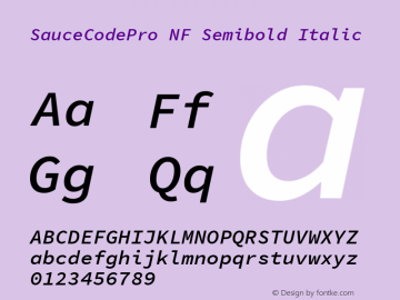 Sauce Code Pro Semibold Italic Nerd Font Complete Windows Compatible Version 1.050;PS 1.000;hotconv 16.6.51;makeotf.lib2.5.65220 Font Sample