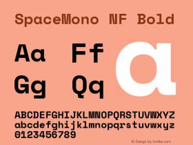 Space Mono Bold Nerd Font Complete Mono Windows Compatible Version 1.000;PS 1.000;hotconv 1.0.81;makeotf.lib2.5.63406图片样张