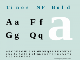 Tinos Bold Nerd Font Complete Mono Windows Compatible Version 1.23 Font Sample