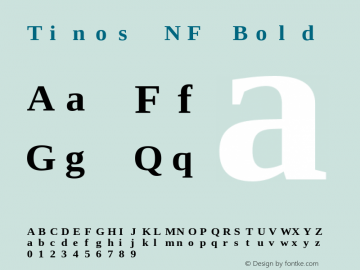 Tinos Bold Nerd Font Complete Mono Windows Compatible Version 1.23图片样张