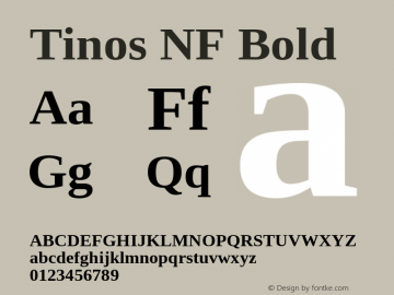 Tinos Bold Nerd Font Complete Windows Compatible Version 1.23 Font Sample