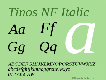 Tinos Italic Nerd Font Complete Windows Compatible Version 1.23图片样张