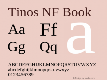 Tinos Nerd Font Complete Windows Compatible Version 1.23 Font Sample