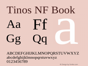 Tinos Nerd Font Complete Windows Compatible Version 1.23图片样张