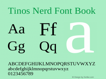 Tinos Nerd Font Complete Version 1.23图片样张