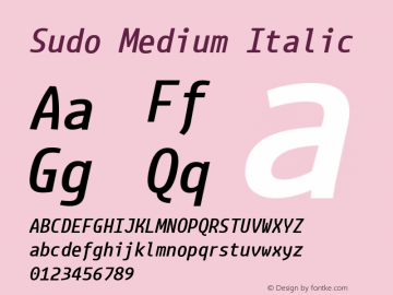 Sudo Medium Italic Version 0.034 Font Sample
