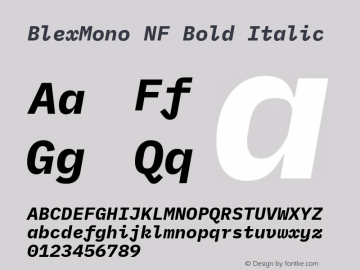 Blex Mono Bold Italic Nerd Font Complete Mono Windows Compatible Version 2.000 Font Sample