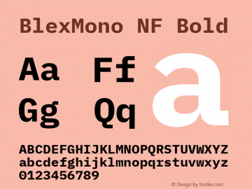 Blex Mono Bold Nerd Font Complete Windows Compatible Version 2.000 Font Sample