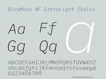 Blex Mono ExtraLight Italic Nerd Font Complete Mono Windows Compatible Version 2.000 Font Sample