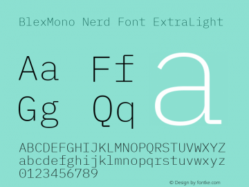 Blex Mono ExtraLight Nerd Font Complete Version 2.000图片样张