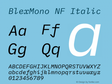 Blex Mono Italic Nerd Font Complete Windows Compatible Version 2.000 Font Sample