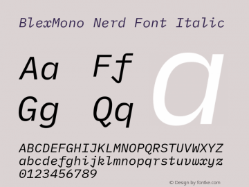Blex Mono Italic Nerd Font Complete Version 2.000 Font Sample