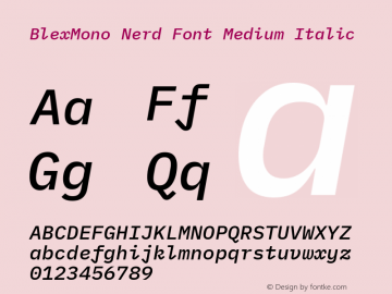 Blex Mono Medium Italic Nerd Font Complete Version 2.000图片样张
