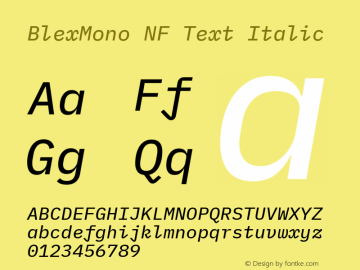 Blex Mono Text Italic Nerd Font Complete Windows Compatible Version 2.000 Font Sample