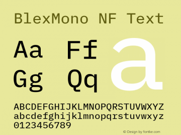 Blex Mono Text Nerd Font Complete Windows Compatible Version 2.000图片样张