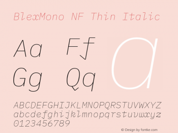 Blex Mono Thin Italic Nerd Font Complete Windows Compatible Version 2.000 Font Sample