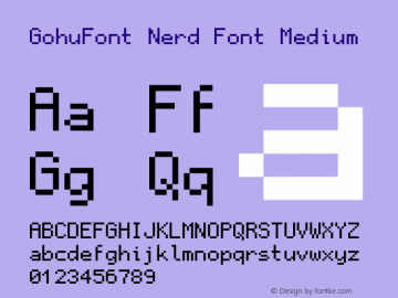 GohuFont Nerd Font Complete Version 001.000;Nerd Fonts 2图片样张