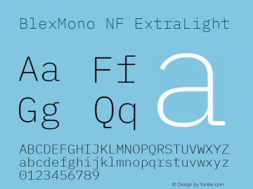 Blex Mono ExtraLight Nerd Font Complete Windows Compatible Version 2.000 Font Sample
