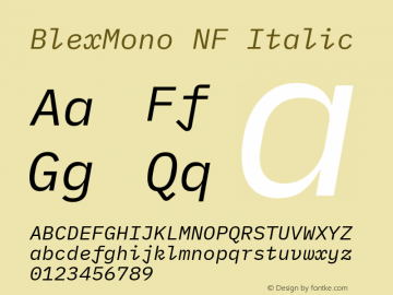 Blex Mono Italic Nerd Font Complete Mono Windows Compatible Version 2.000 Font Sample