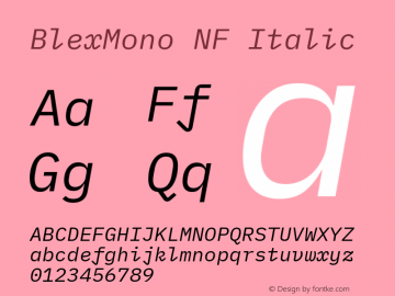 Blex Mono Italic Nerd Font Complete Windows Compatible Version 2.000 Font Sample