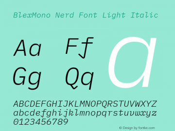Blex Mono Light Italic Nerd Font Complete Version 2.000 Font Sample