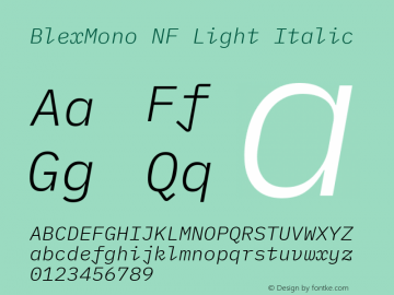 Blex Mono Light Italic Nerd Font Complete Windows Compatible Version 2.000 Font Sample