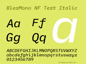 Blex Mono Text Italic Nerd Font Complete Mono Windows Compatible Version 2.000 Font Sample